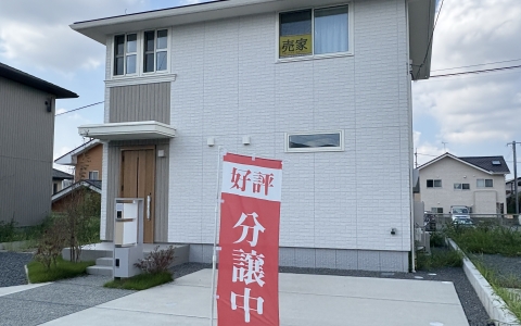第十村4号地