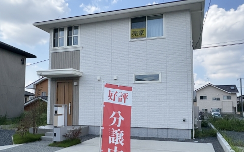 第十村4號地