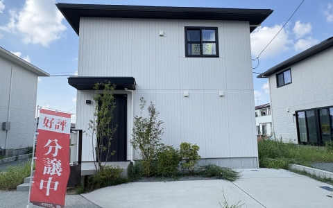 第十村3號地